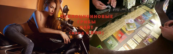 MDMA Premium VHQ Горнозаводск
