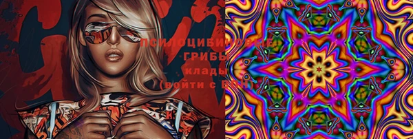 стафф Горно-Алтайск