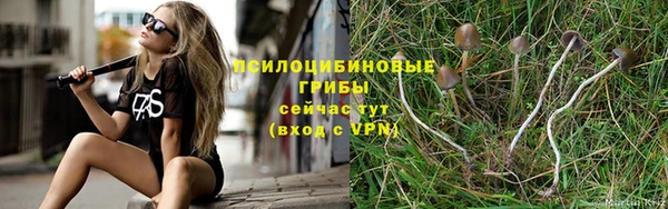 стафф Горно-Алтайск