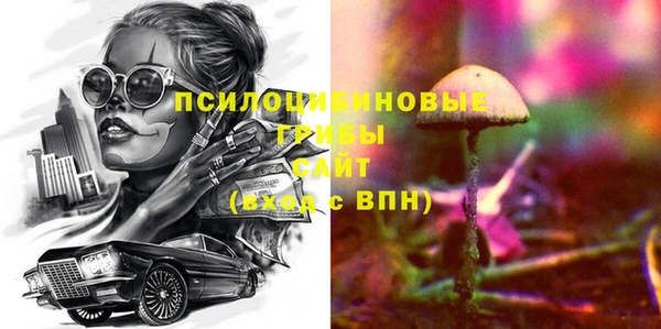 стафф Горно-Алтайск