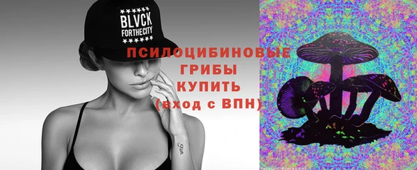 стафф Горно-Алтайск