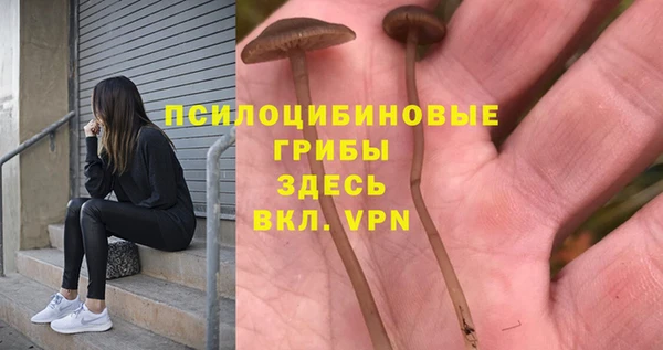MDMA Premium VHQ Горнозаводск